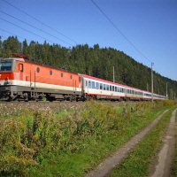 Trein in het landschap